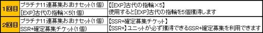 11連募集特典内容